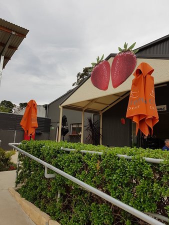 Green Valley Strawberries - Accommodation QLD 0