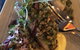 Musque Food & Wine - thumb 1