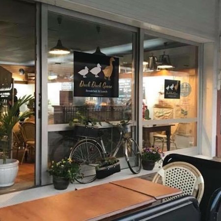 Duck Duck Goose - Accommodation QLD 0