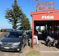 Fish - Accommodation QLD
