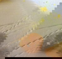 Parade Fish Shop - Accommodation QLD