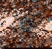 Qahwa Espresso Bar and Coffee Roasters - Accommodation QLD