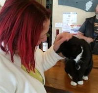 Stone Bridge Wines - Accommodation QLD