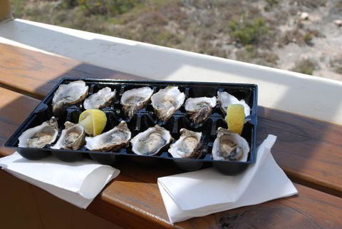 The Fish Box Kiosk - Accommodation QLD 0