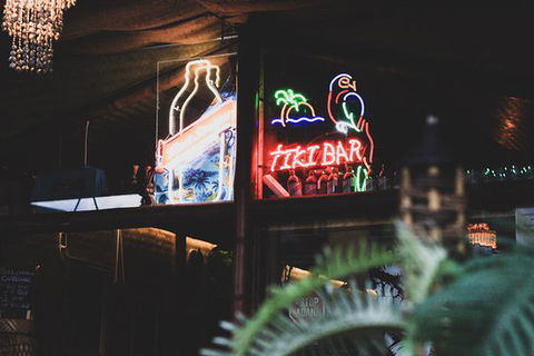 Jungle Bar - Accommodation QLD 0