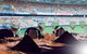 Queensland Cricketers' Club - thumb 0