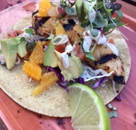 Cantina on Capri - Accommodation QLD