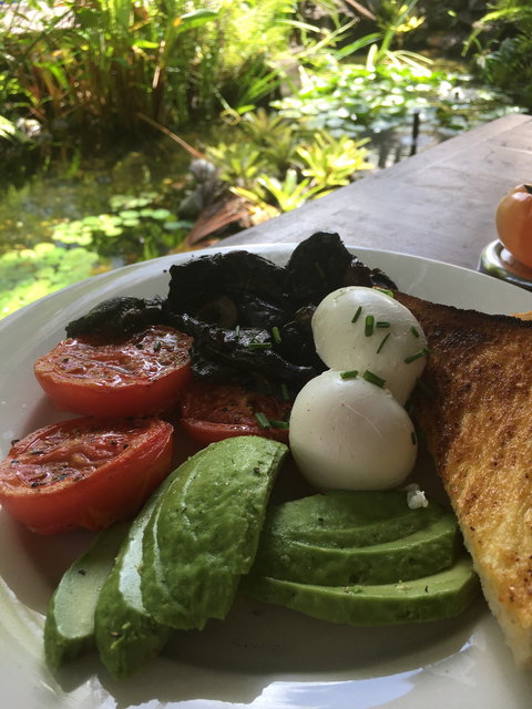 Moondoggy's Cafe Bar - Accommodation QLD 4