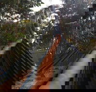 Nomads Noosa - Accommodation QLD