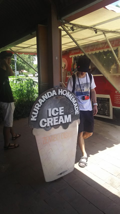 Kuranda Homemade Tropical Fruit Ice Cream - Accommodation QLD 5