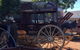 Outback Pioneers - thumb 3
