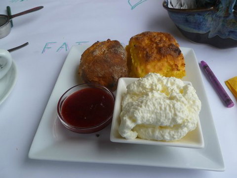 Nash Gallery & Cafe - Accommodation QLD 0