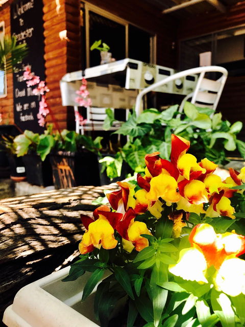 Peachester Cafe - Accommodation QLD 1