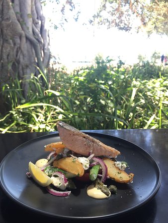 Scoopys Ice Creamery & Sidewalk Cafe - Accommodation QLD 0