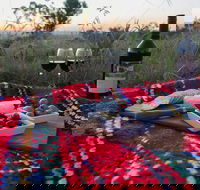 Bunnyconnellen Olive Grove  Vineyard - Accommodation QLD