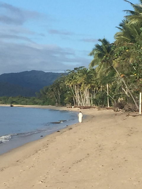 Newell Beach Takeaway And Cafe - Accommodation QLD 2