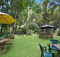 Rainforest - Accommodation QLD