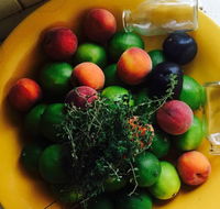 The Coffee Shoppe - Accommodation QLD