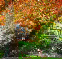 The Woods Ravensbourne - Accommodation QLD