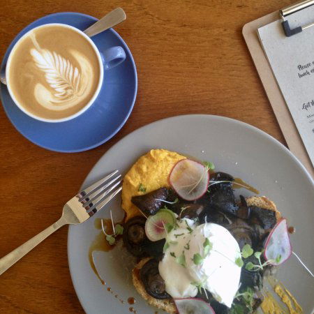 Wild Plum Kitchen - Accommodation QLD 0