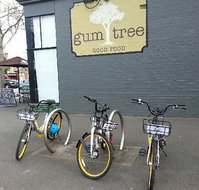 Gum Tree Good Food - Accommodation QLD