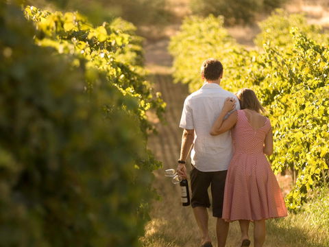 Novotel Barossa Valley Resort - Accommodation QLD 1