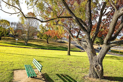 Comfort Inn City Centre Armidale - Accommodation QLD 17