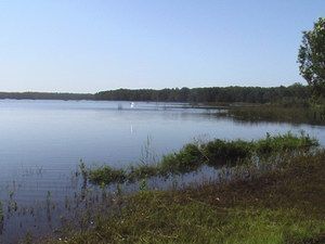 Cabarita Lake Apartments - Accommodation QLD 2