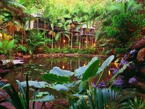 Daintree Eco Lodge & Spa - Accommodation QLD 0