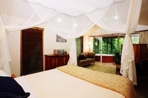 Daintree Eco Lodge & Spa - Accommodation QLD 1