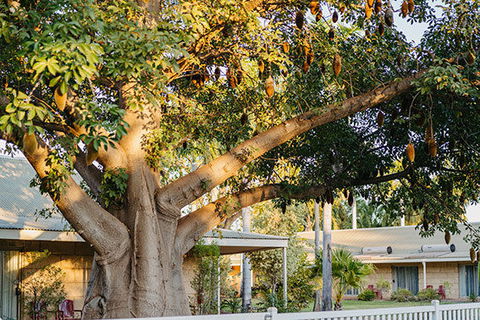 Kimberley Grande Resort & Conf Ctr - Accommodation QLD 0