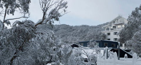 Attunga Alpine Lodge - Accommodation QLD 0