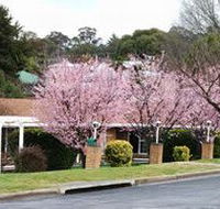 White Lanterns Motel - Accommodation QLD