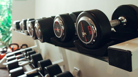 Holiday Inn Warwick Farm - Accommodation QLD 13