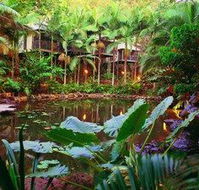 Daintree Eco Lodge  Spa - Accommodation QLD
