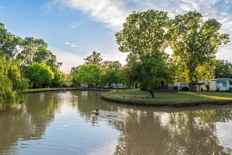 Discovery Parks Moama Maidens - Accommodation QLD 0
