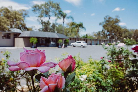 Artesian Spa Motor Inn - Accommodation QLD 2