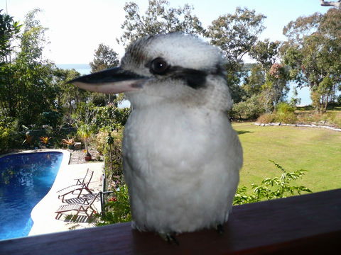 Yarrandabbi Dreaming Boutique B&B - Accommodation QLD 2