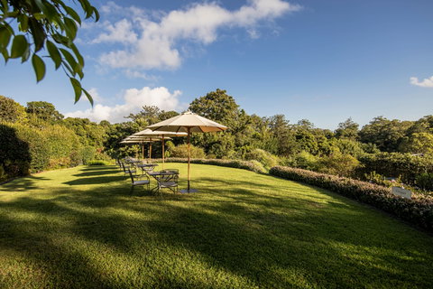 Spicers Clovelly Estate - Accommodation QLD 2