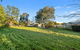 Econo Lodge Border Gateway Wodonga - thumb 5