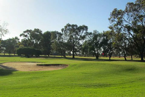 Comfort Inn & Suites Riverland - Accommodation QLD 9