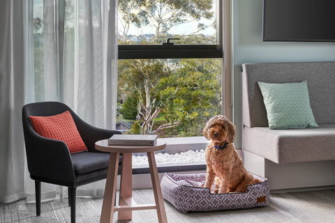 Element Melbourne Richmond - Accommodation QLD 2