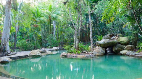 Kewarra Beach Resort & Spa - Accommodation QLD 1