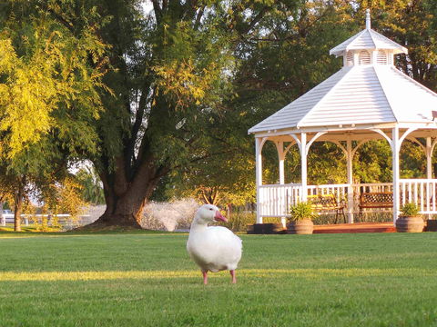 Parklands Resort & Conference Ctr - Accommodation QLD 1