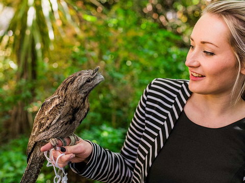 Mount Lofty House - Accommodation QLD 1