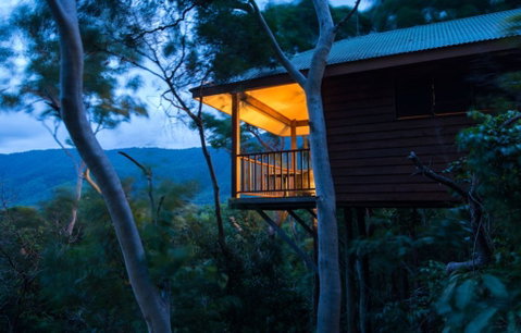 Thala Beach Nature Reserve - Accommodation QLD 0