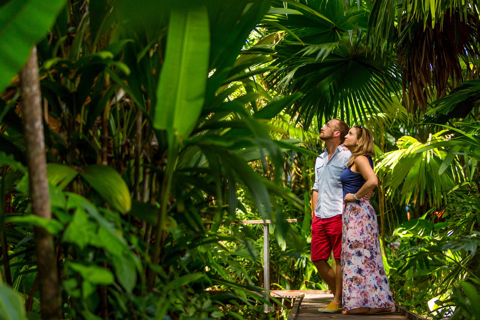 Edge Hill QLD Accommodation QLD