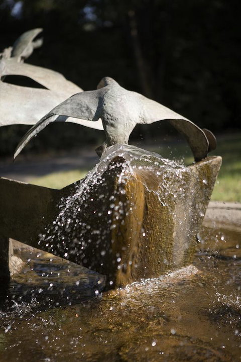 University House - ANU - Accommodation QLD 30