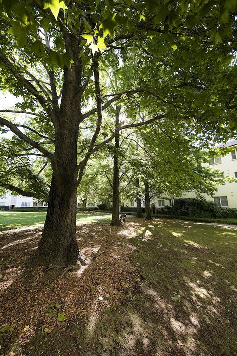 University House - ANU - Accommodation QLD 28