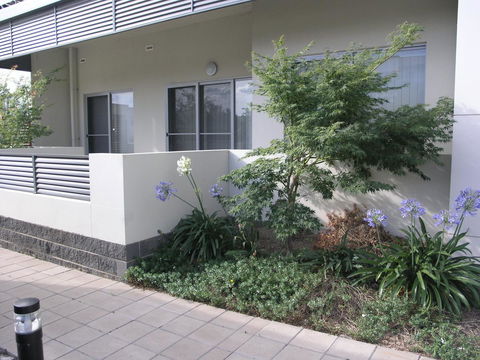 Kesh At Aamira - Accommodation QLD 16